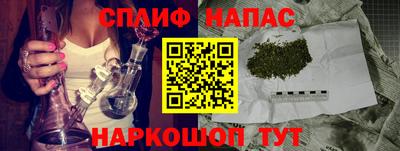 мяу мяу мука Моздок