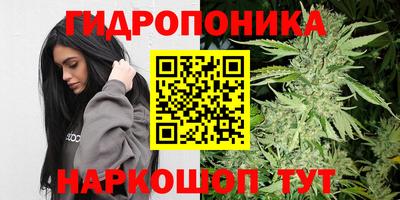 гидра Можайск