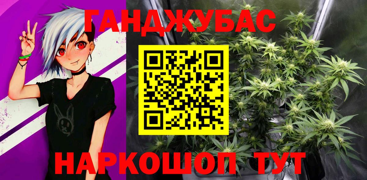 Конопля индика Губаха